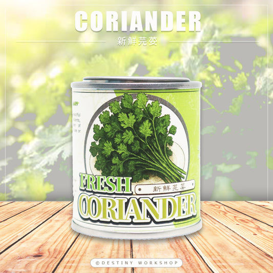 Fresh Coriander | 新鮮芫荽